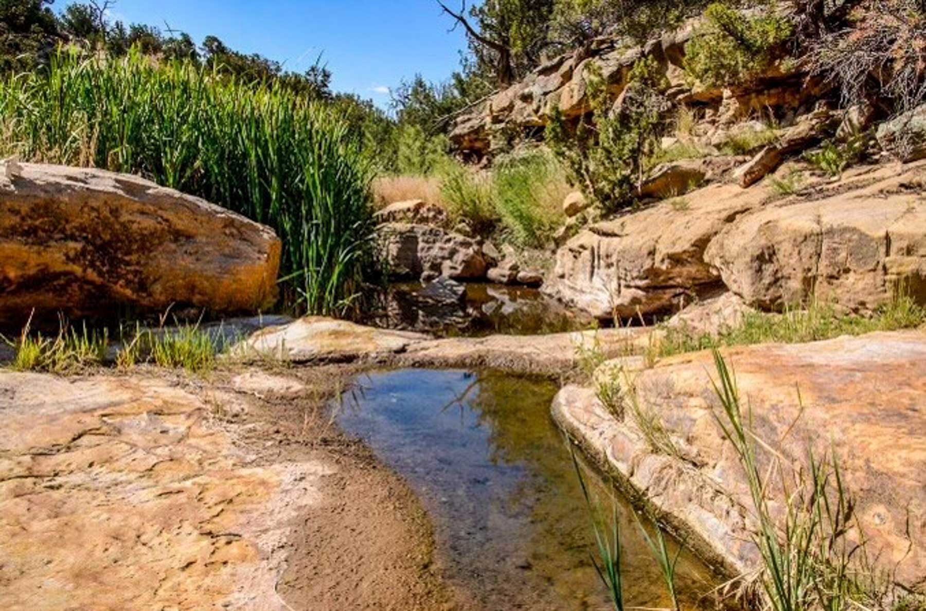 Canon Blanco Ranch property picture 110 of 120