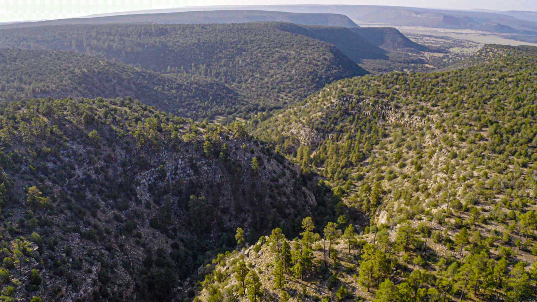 Canon Blanco Ranch property picture 100 of 120