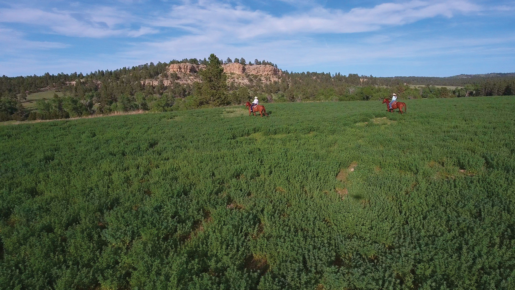 Wagon Box Spring Ranch Hall and Hall
