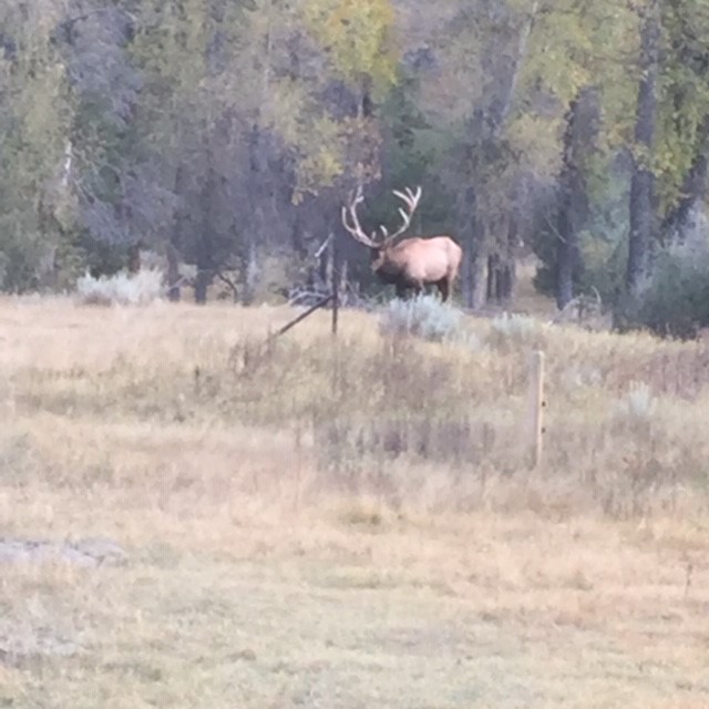 Wagon Box Spring Ranch Hall and Hall
