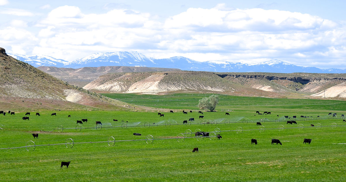 Sierra del Rio Ranch property picture 3 of 72