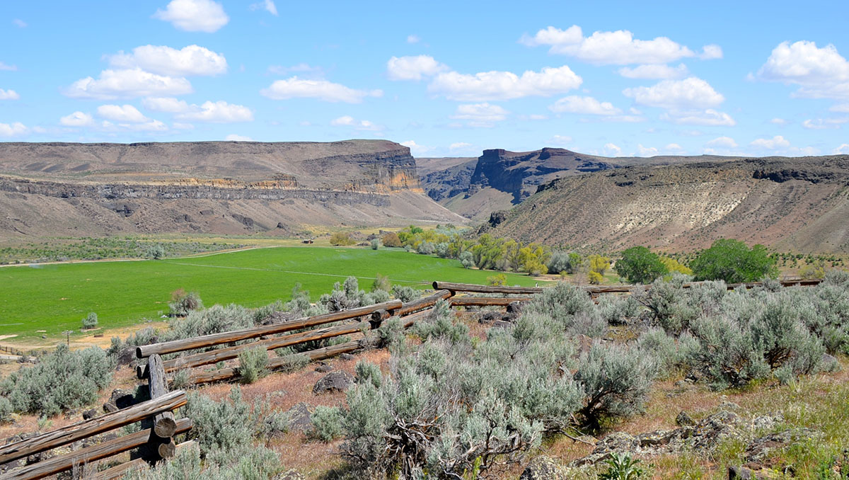 Sierra del Rio Ranch property picture 5 of 72