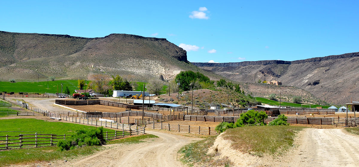 Sierra del Rio Ranch property picture 7 of 72