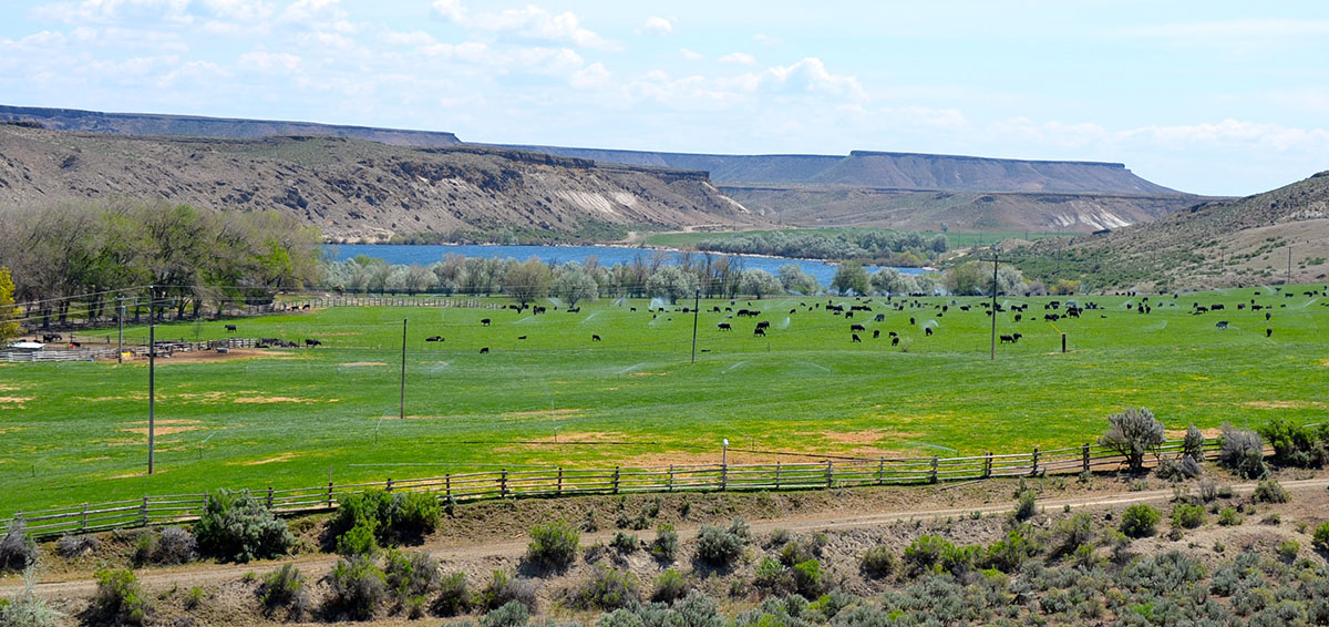 Sierra del Rio Ranch property picture 8 of 72