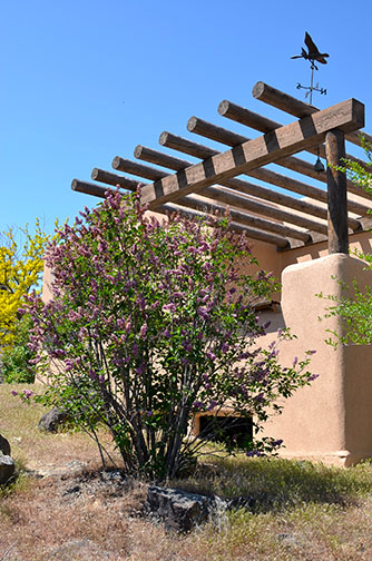 Sierra del Rio Ranch property picture 12 of 72