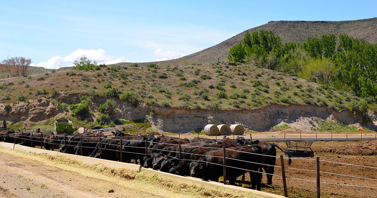 Sierra del Rio Ranch property picture 15 of 72
