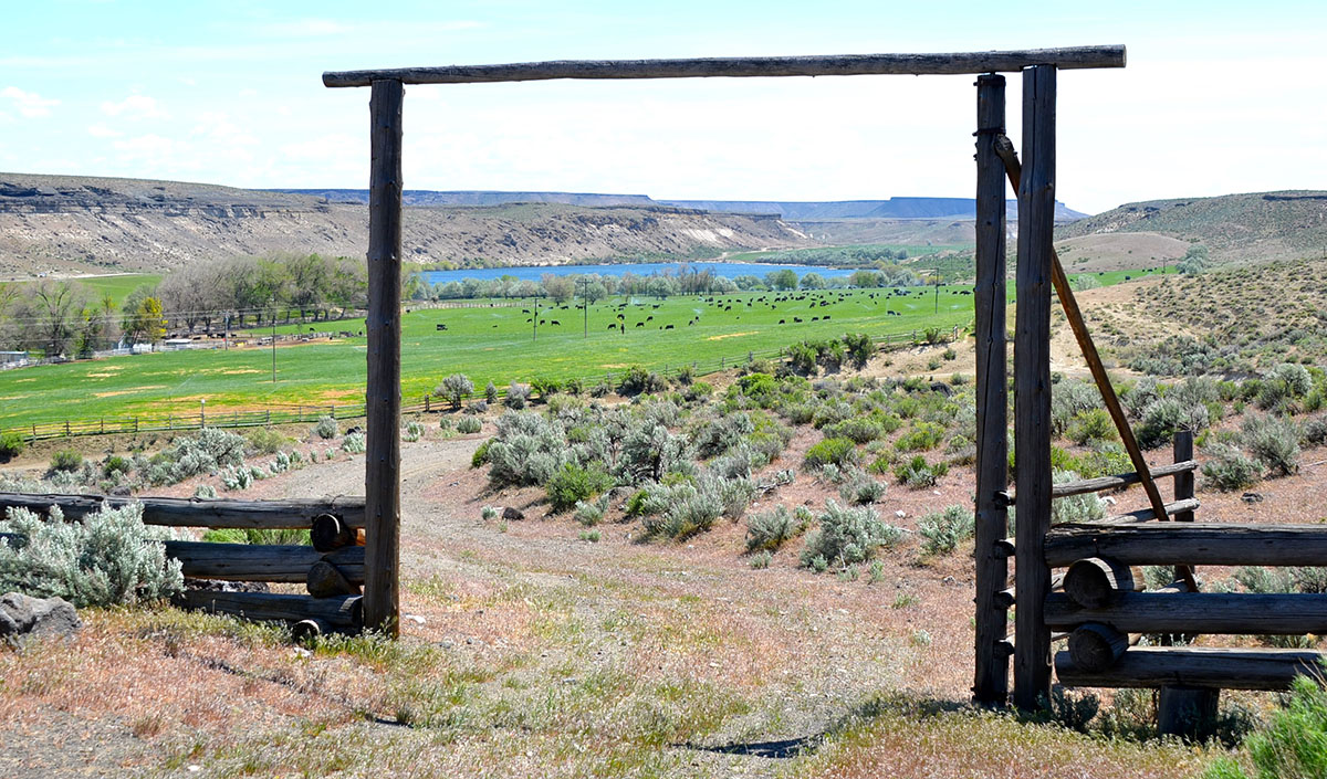 Sierra del Rio Ranch property picture 18 of 72