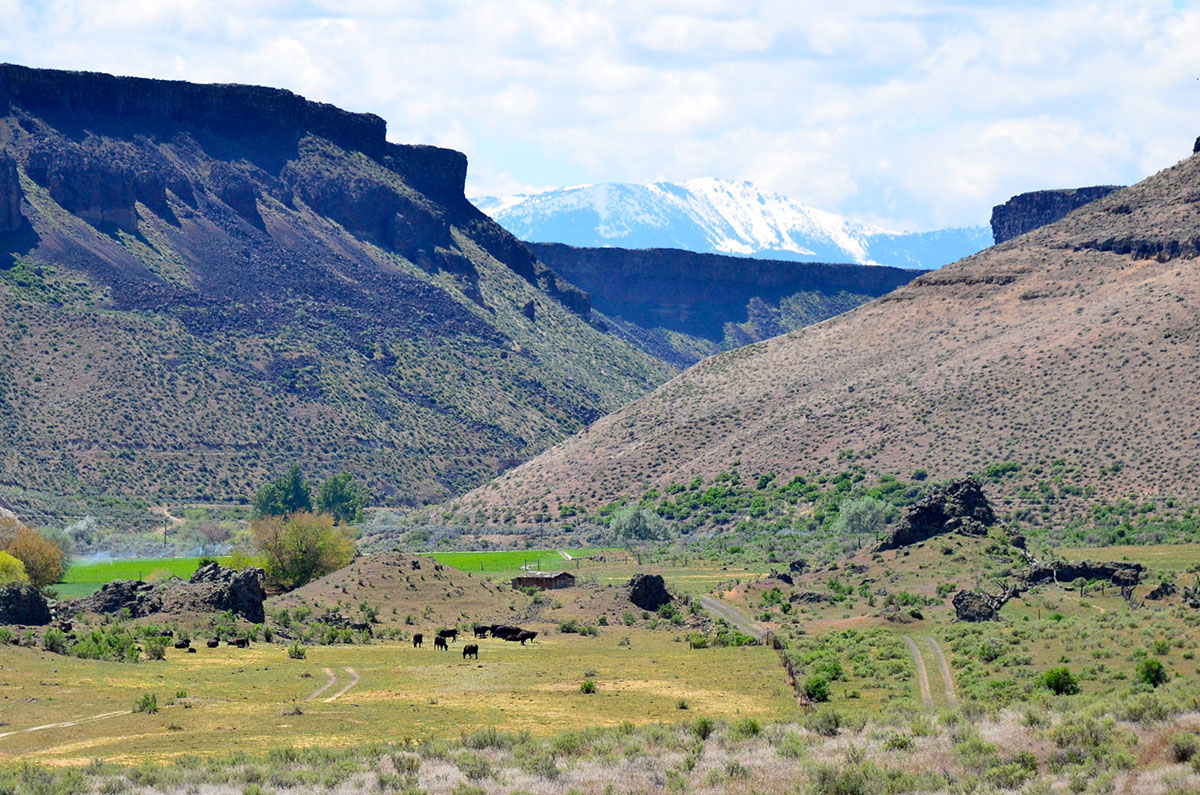 Sierra del Rio Ranch property picture 21 of 72
