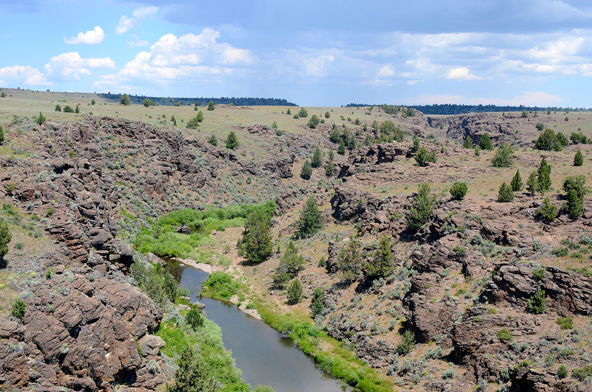Sierra del Rio Ranch property picture 23 of 72