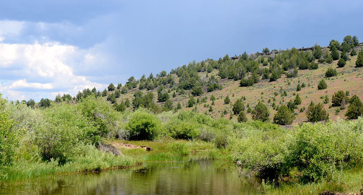 Sierra del Rio Ranch property picture 24 of 72