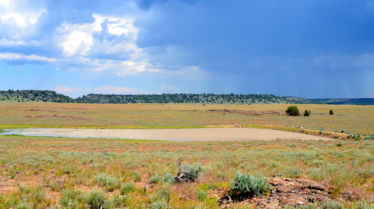 Sierra del Rio Ranch property picture 25 of 72