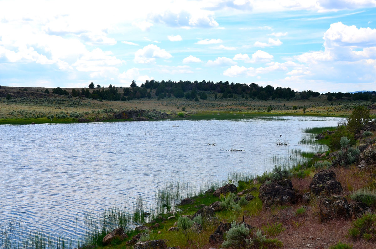 Sierra del Rio Ranch property picture 29 of 72