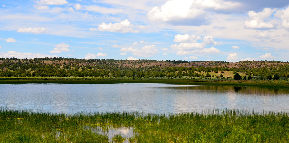 Sierra del Rio Ranch property picture 30 of 72