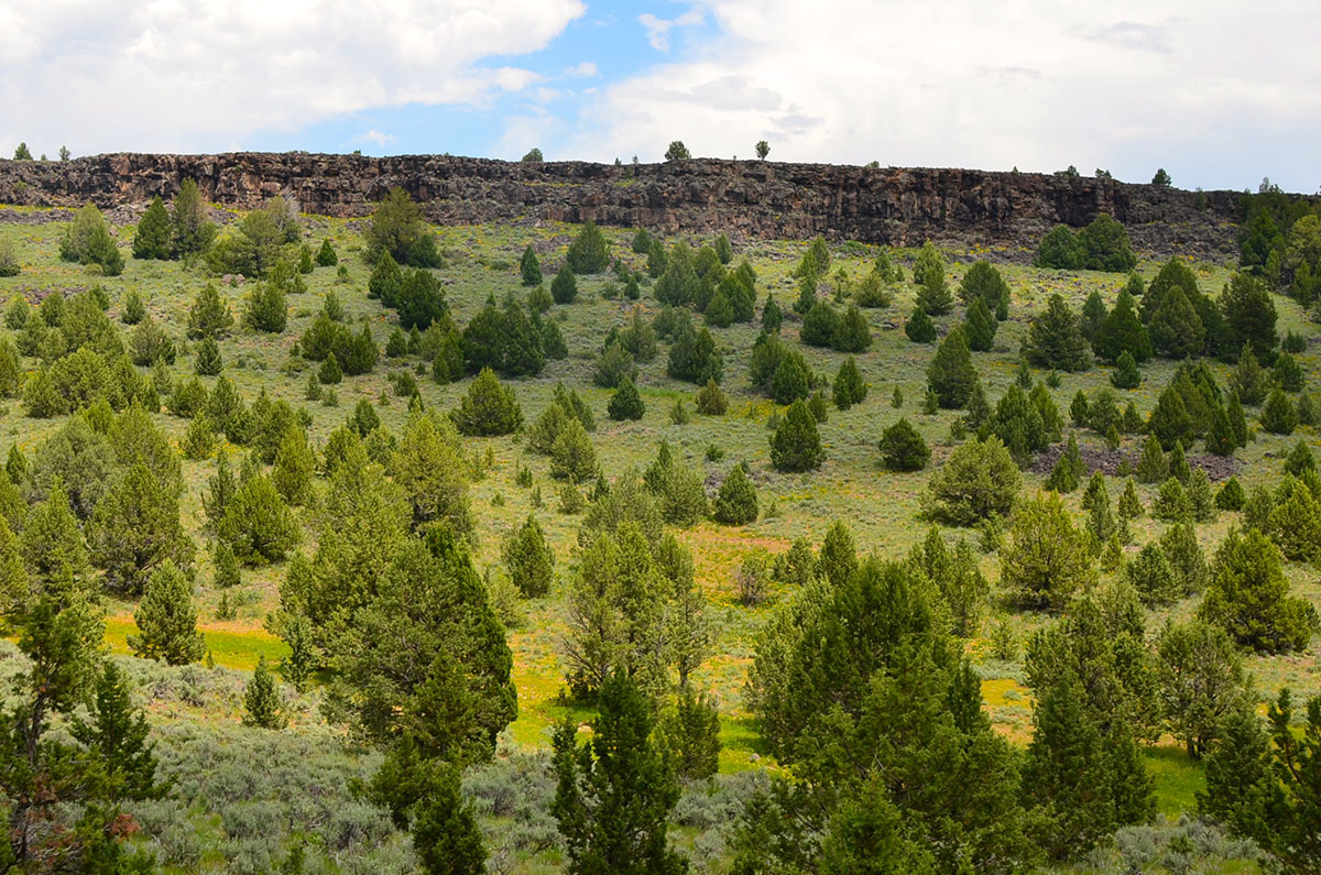 Sierra del Rio Ranch property picture 31 of 72