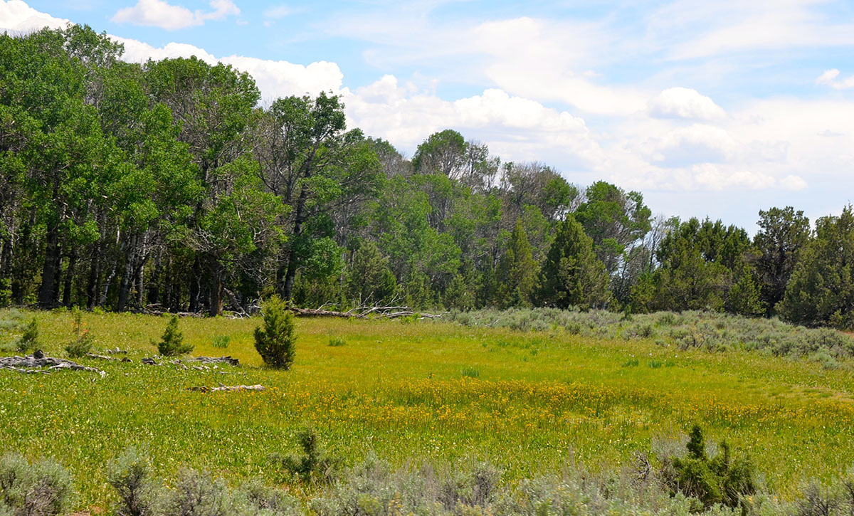 Sierra del Rio Ranch property picture 32 of 72