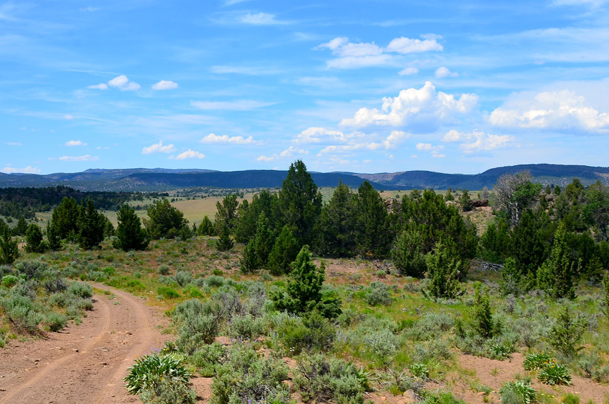 Sierra del Rio Ranch property picture 33 of 72