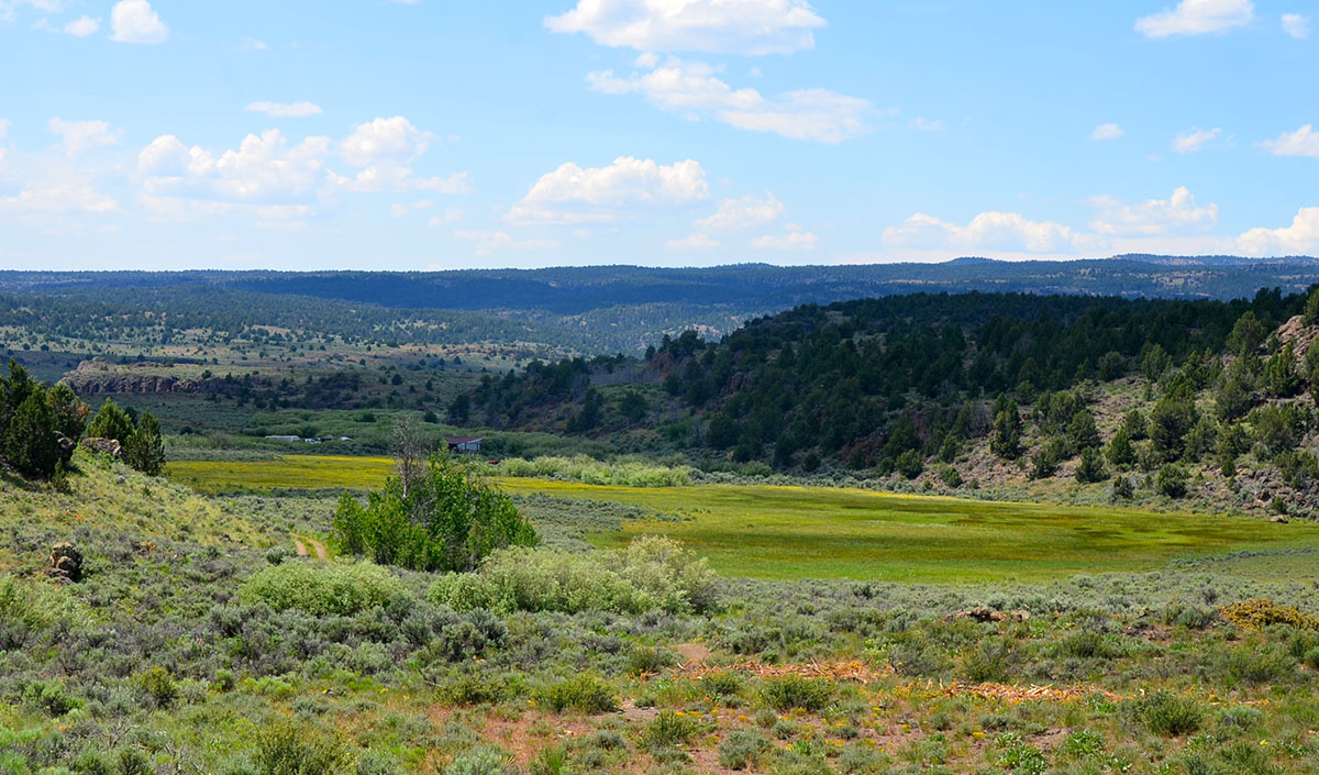 Sierra del Rio Ranch property picture 34 of 72