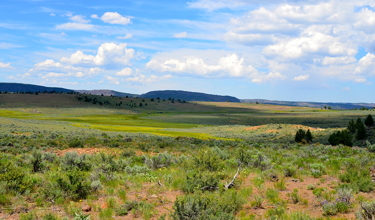 Sierra del Rio Ranch property picture 35 of 72