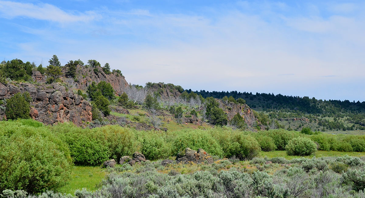 Sierra del Rio Ranch property picture 38 of 72