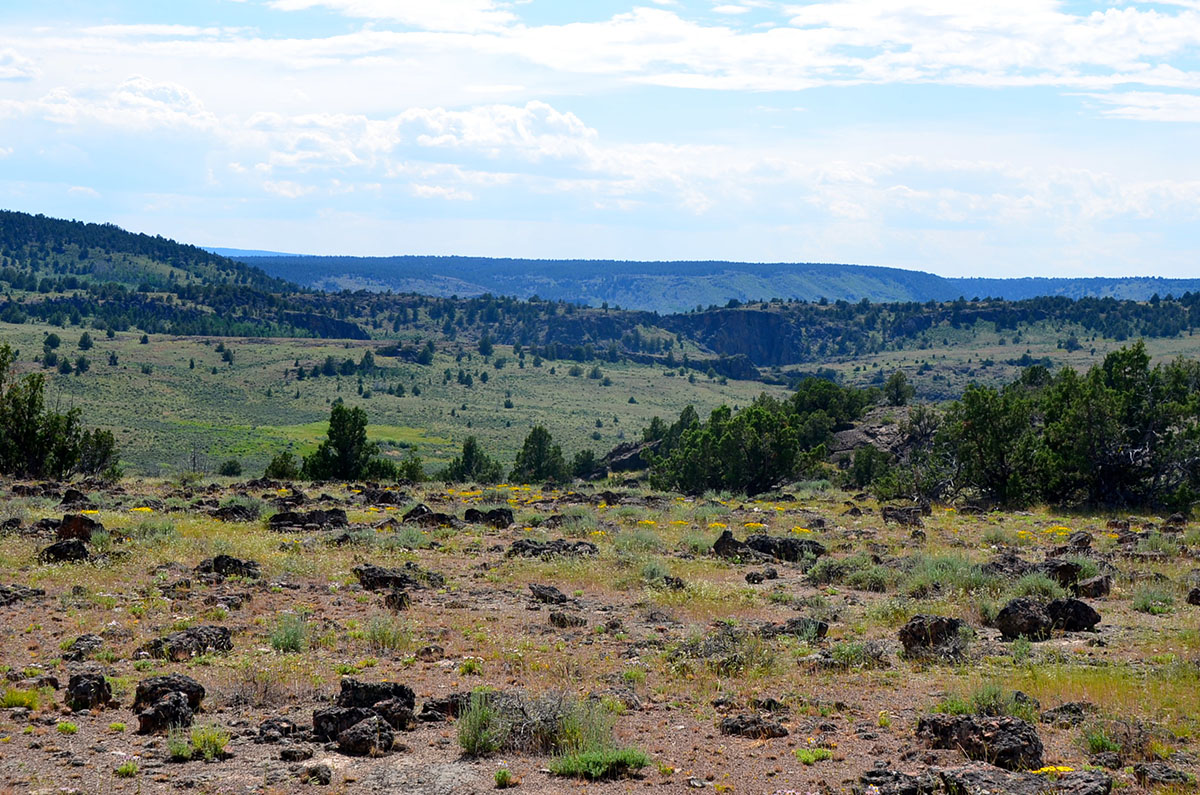 Sierra del Rio Ranch property picture 39 of 72