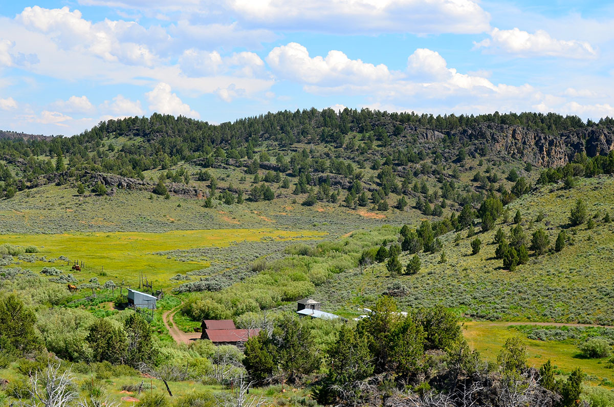 Sierra del Rio Ranch property picture 40 of 72