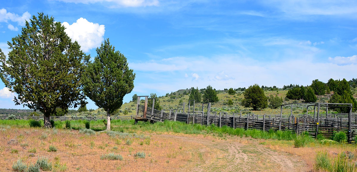 Sierra del Rio Ranch property picture 41 of 72