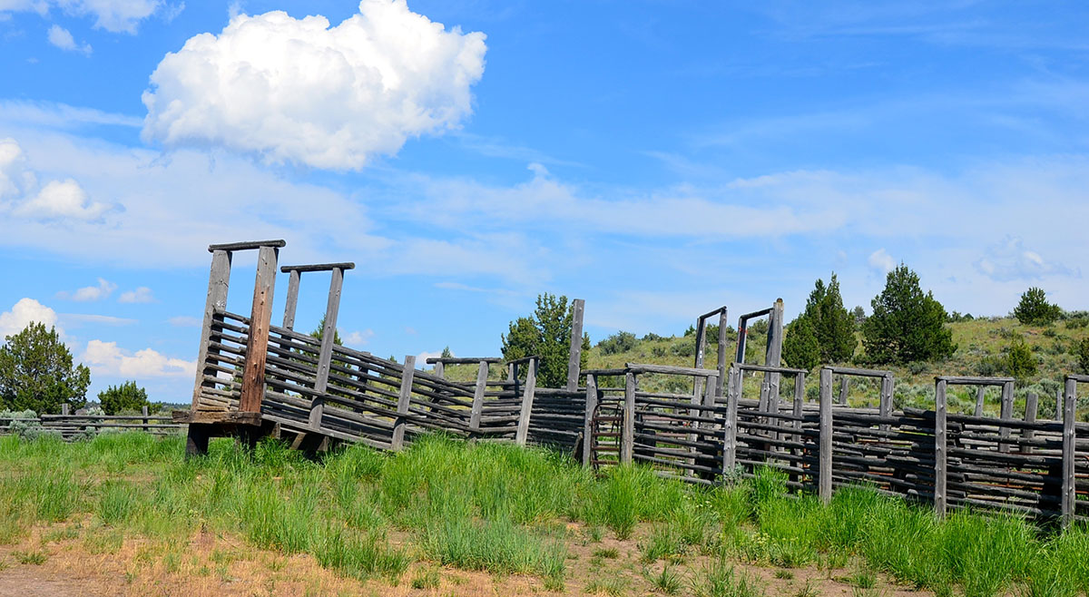 Sierra del Rio Ranch property picture 42 of 72