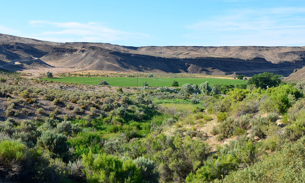 Sierra del Rio Ranch property picture 48 of 72