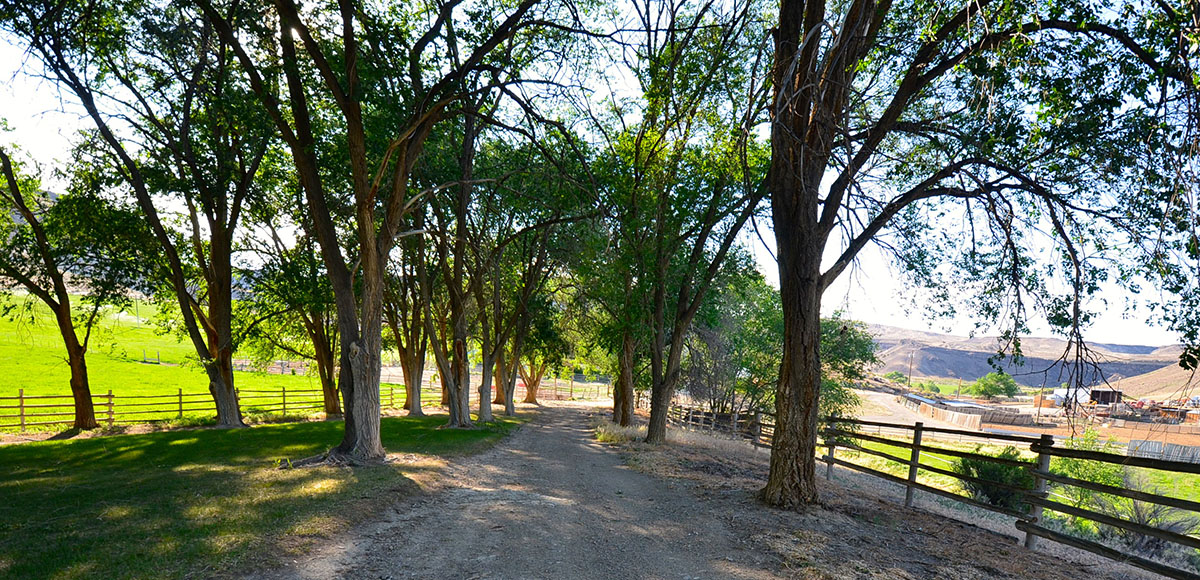 Sierra del Rio Ranch property picture 57 of 72