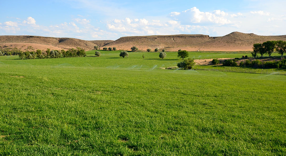 Sierra del Rio Ranch property picture 60 of 72