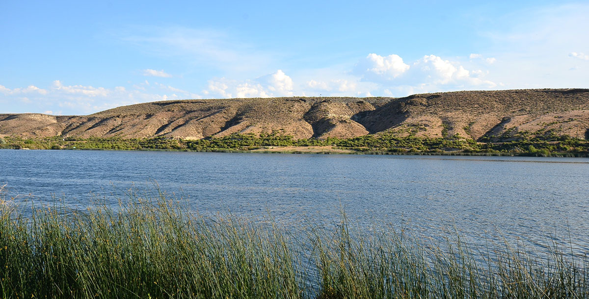 Sierra del Rio Ranch property picture 61 of 72