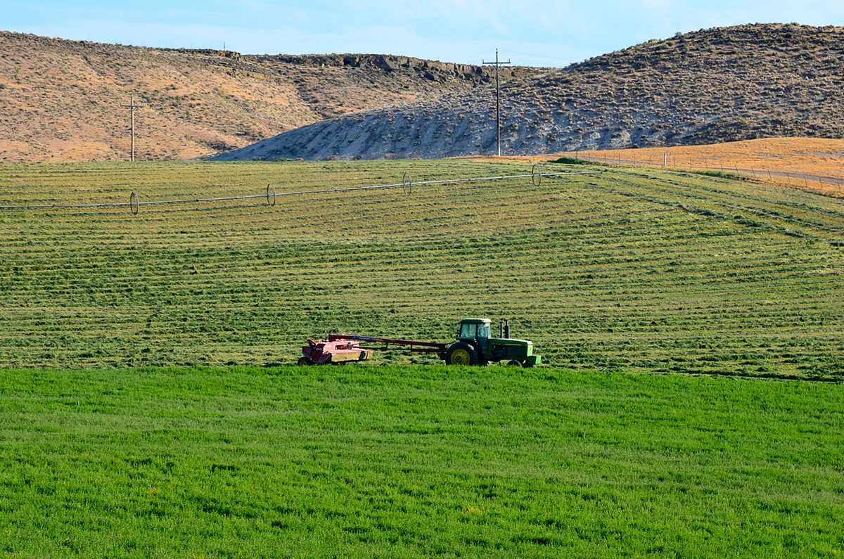 Sierra del Rio Ranch property picture 62 of 72