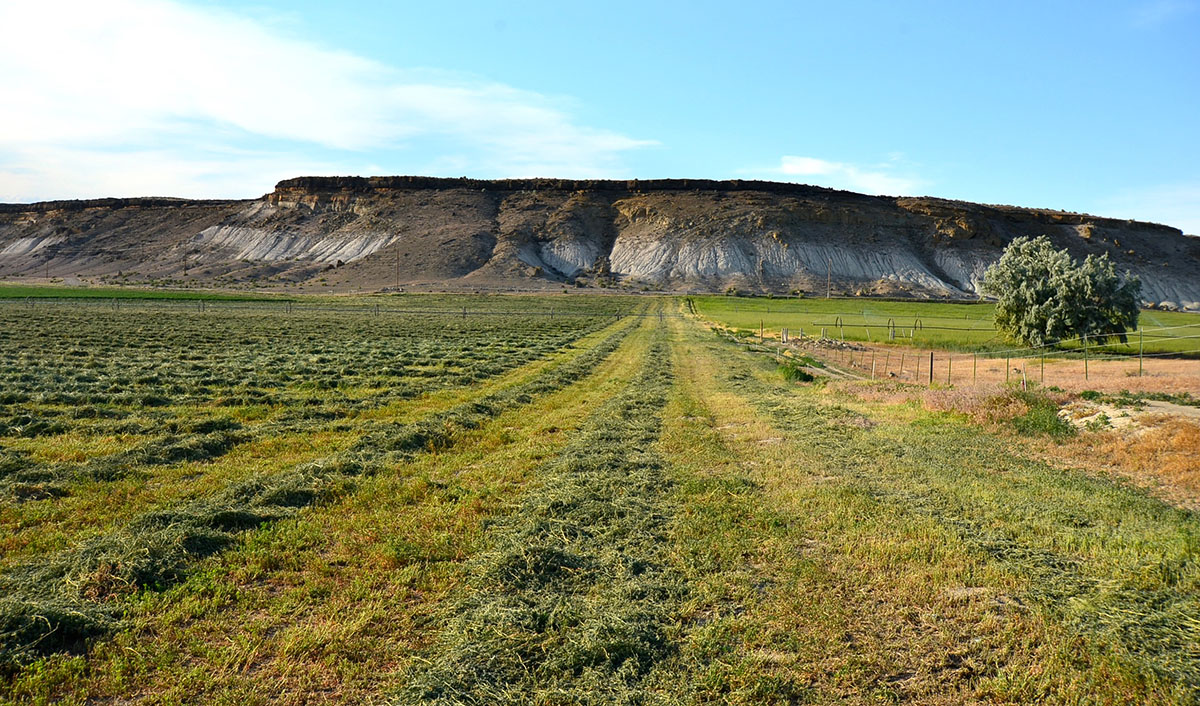 Sierra del Rio Ranch property picture 63 of 72