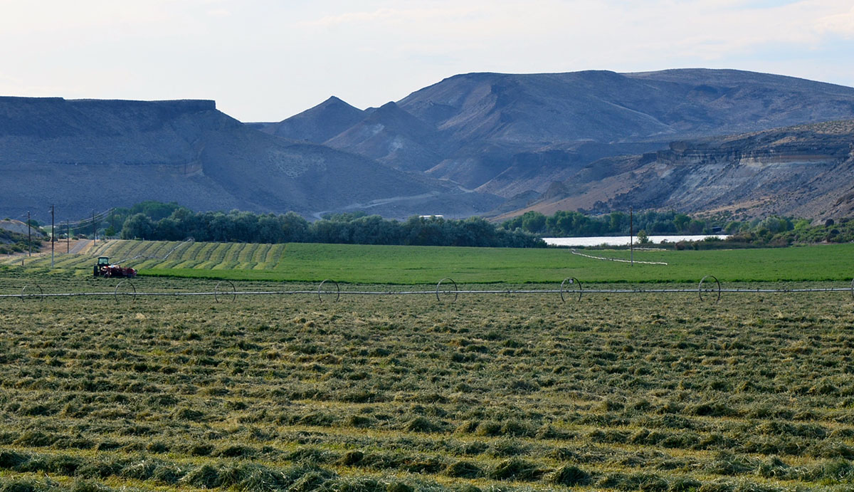 Sierra del Rio Ranch property picture 64 of 72