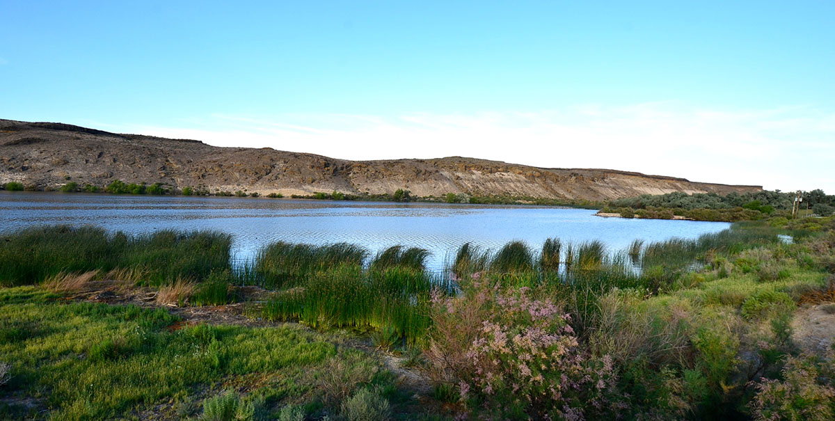 Sierra del Rio Ranch property picture 66 of 72