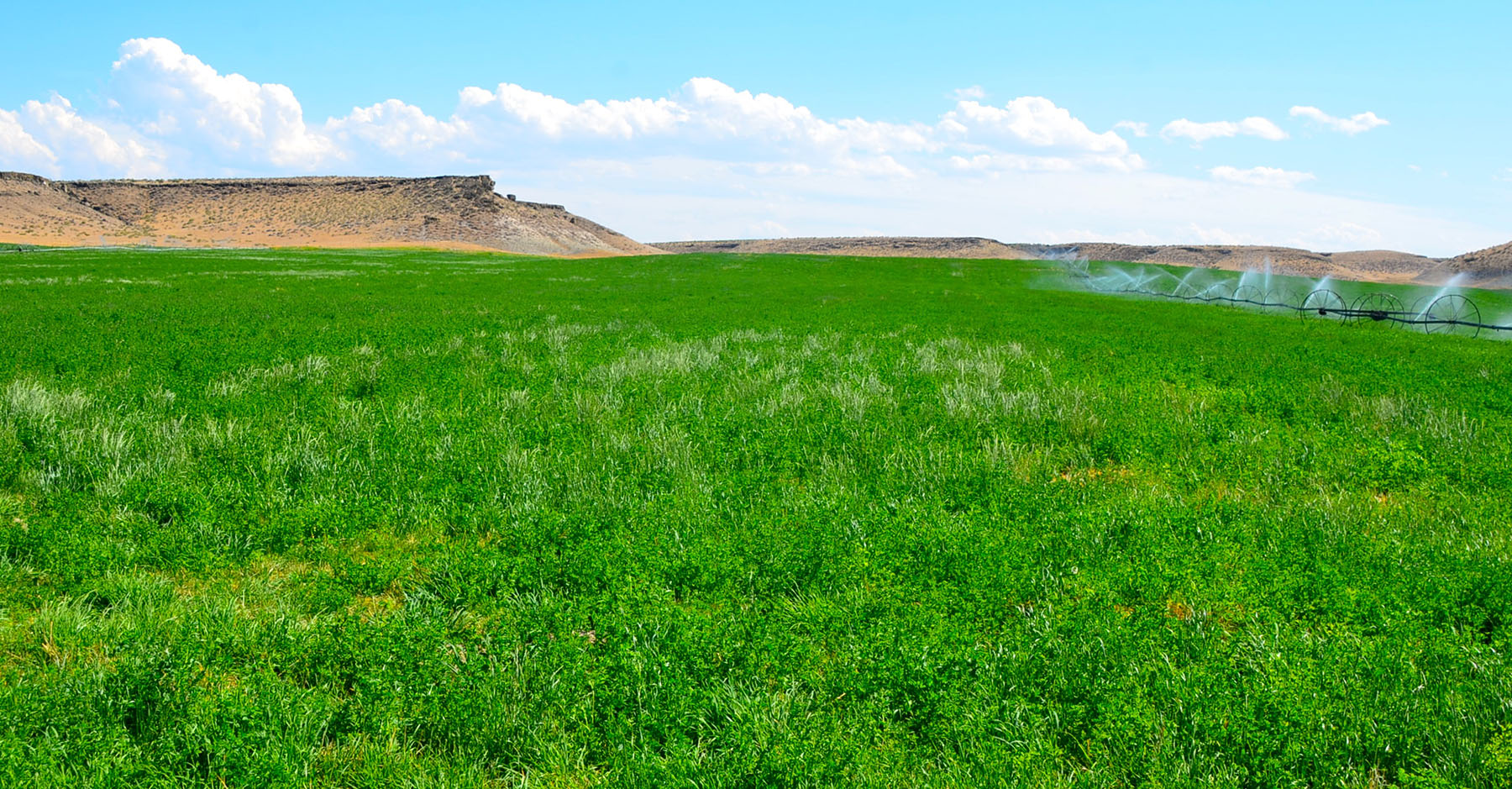 Sierra del Rio Ranch property picture 72 of 72