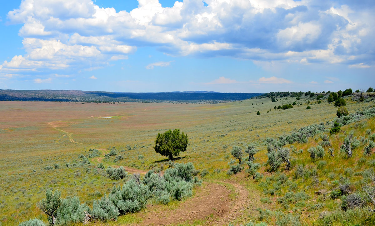 Sierra del Rio Ranch property picture 28 of 72