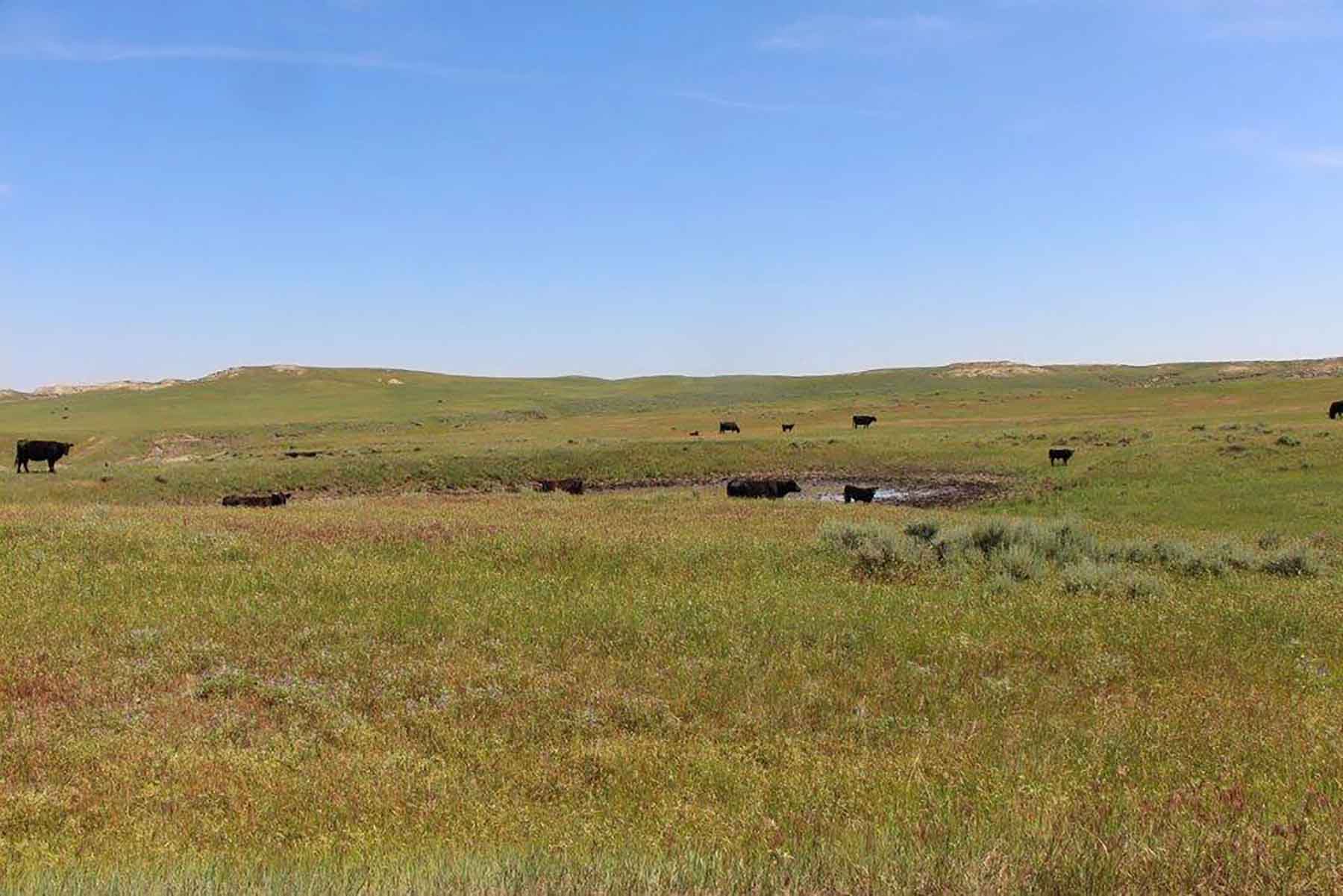 Engdahl Ranch property picture 3 of 26
