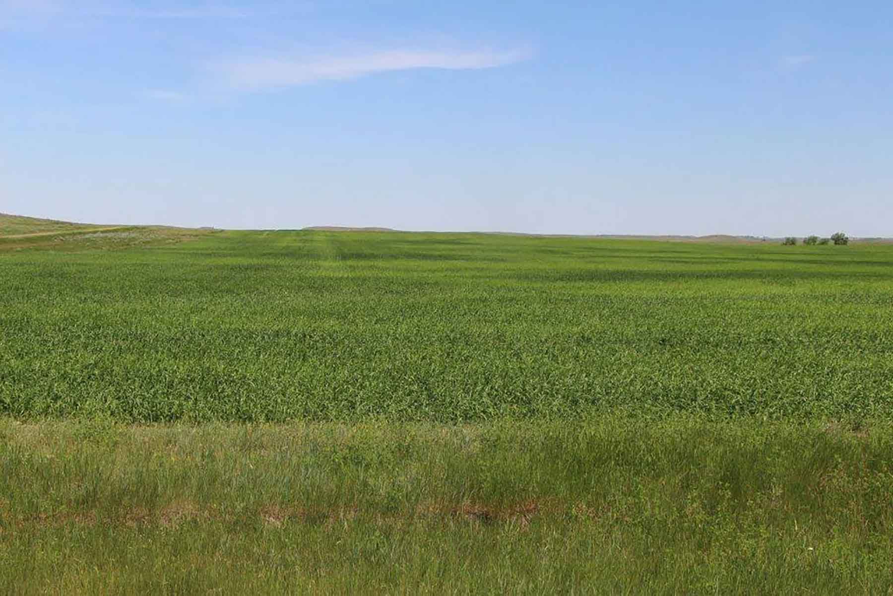 Engdahl Ranch property picture 5 of 26