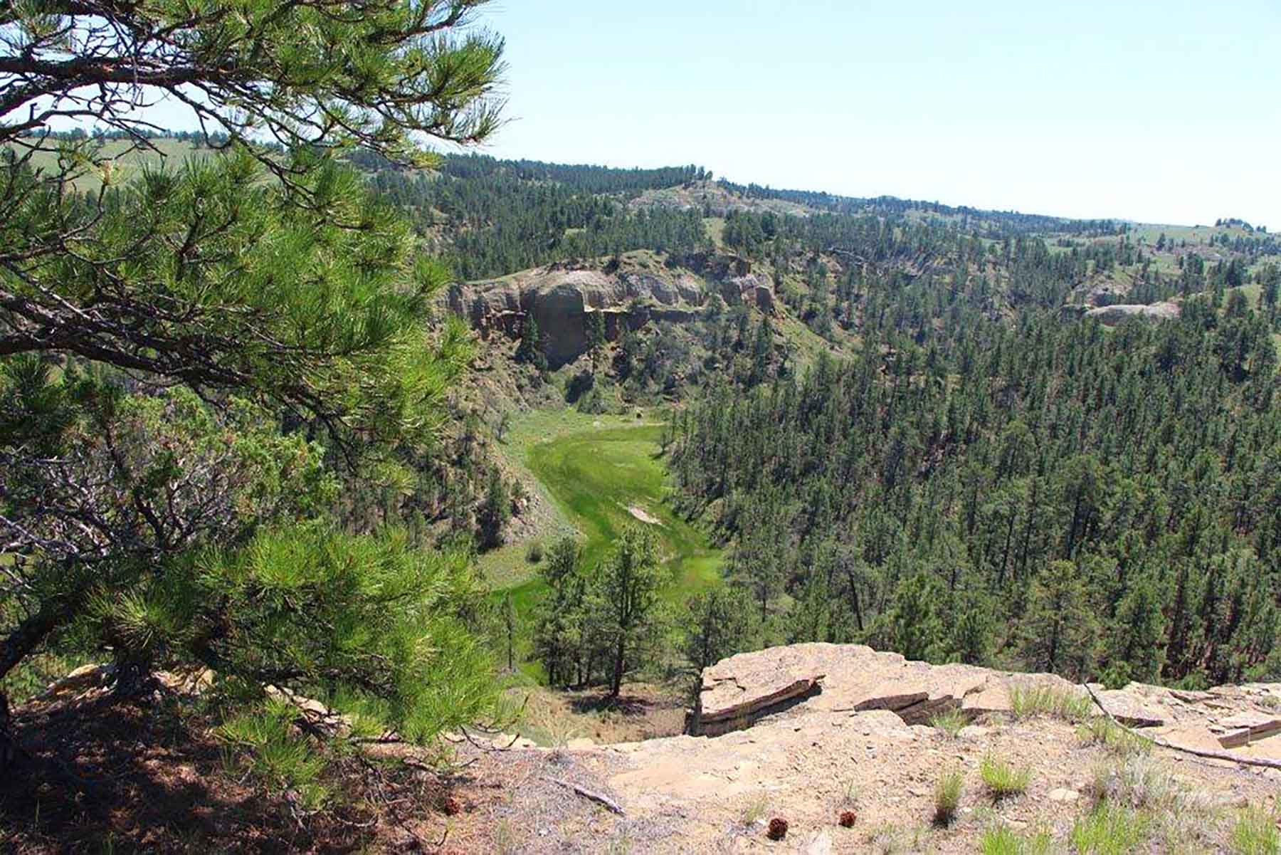 Engdahl Ranch property picture 2 of 26