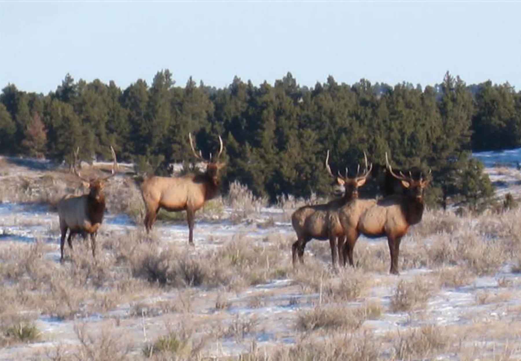 Engdahl Ranch property picture 4 of 26