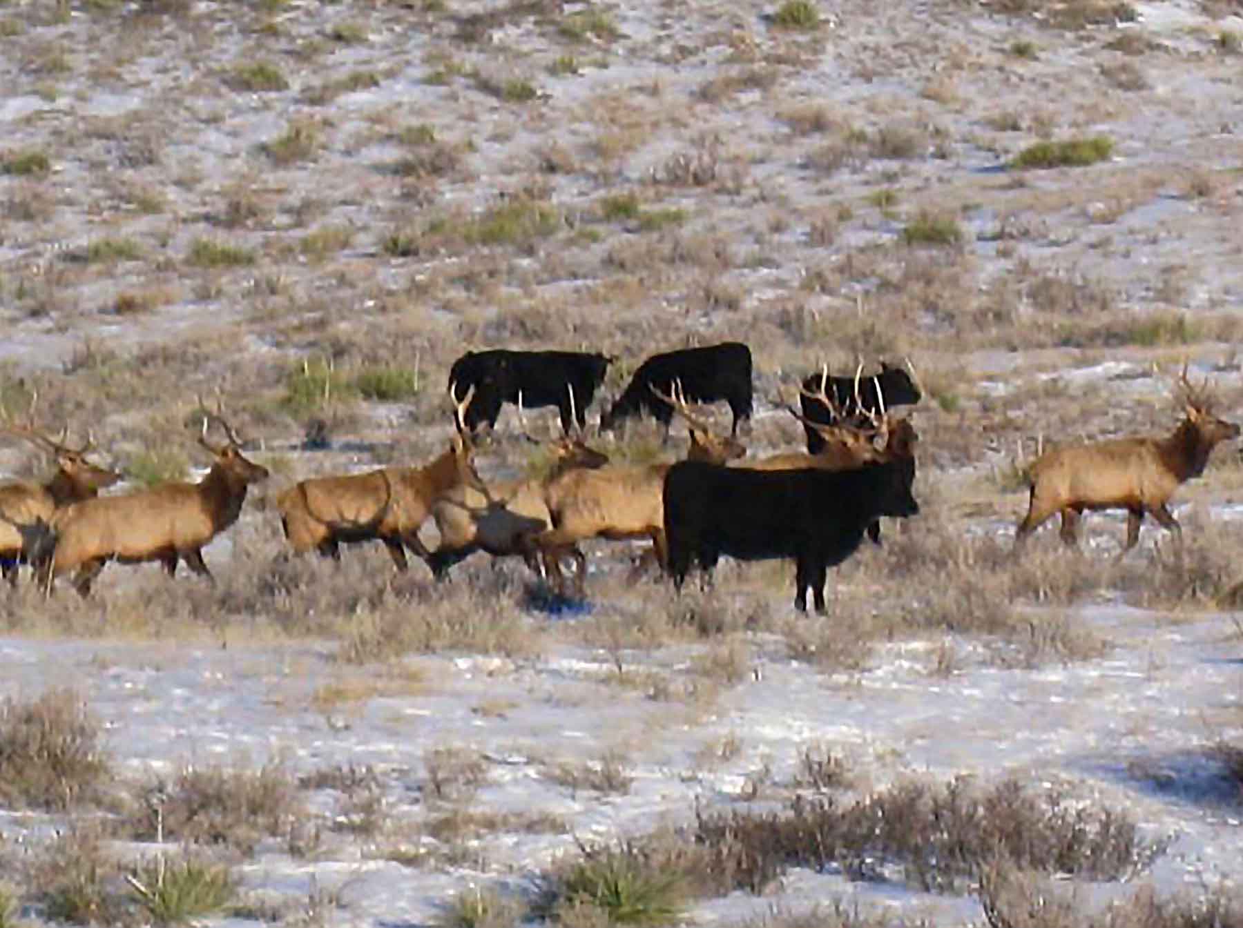 Engdahl Ranch property picture 10 of 26