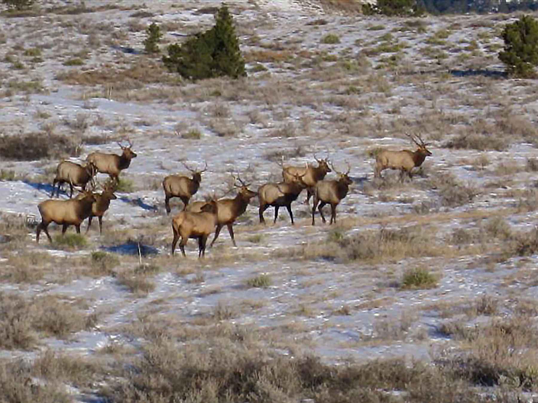 Engdahl Ranch property picture 16 of 26
