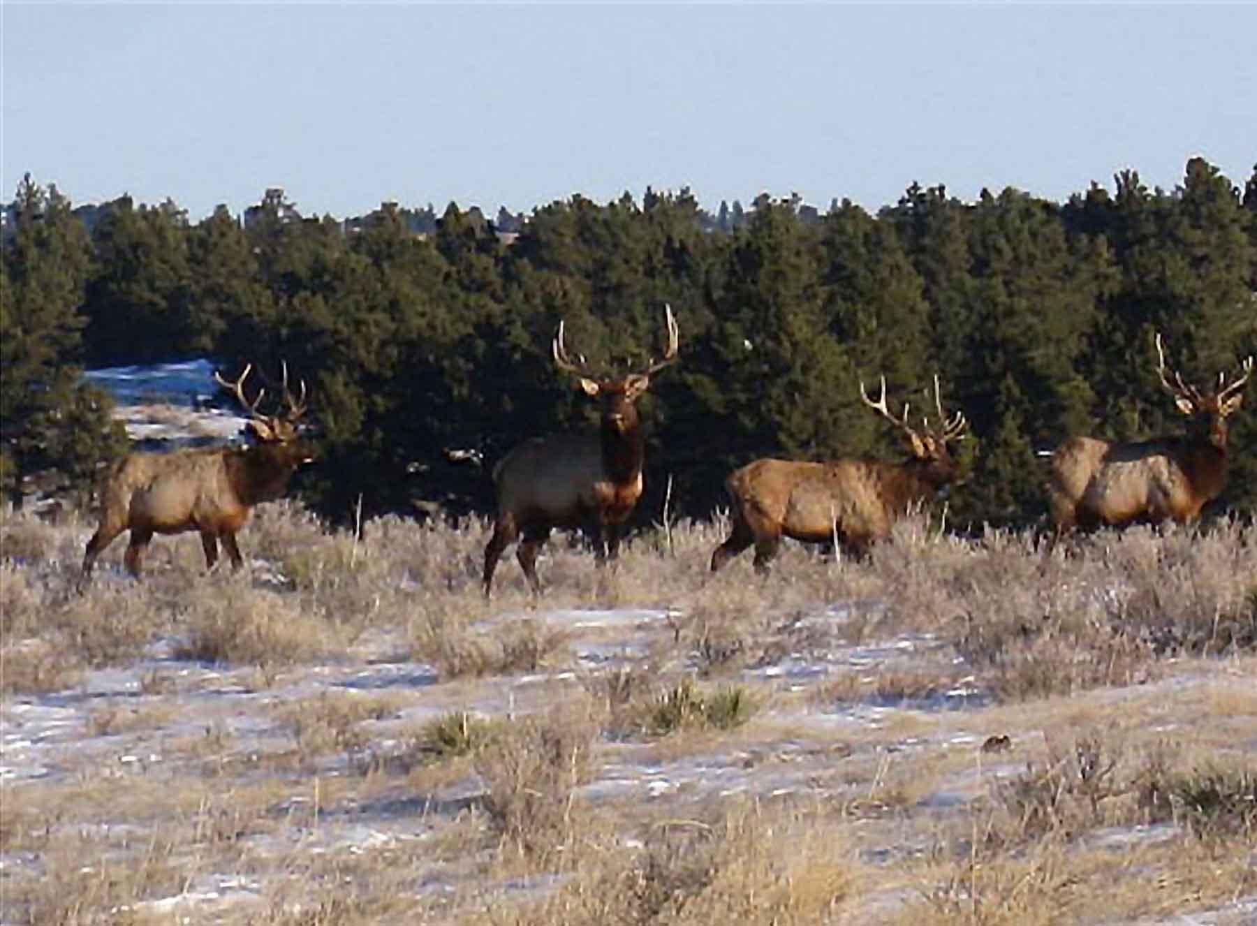 Engdahl Ranch property picture 18 of 26