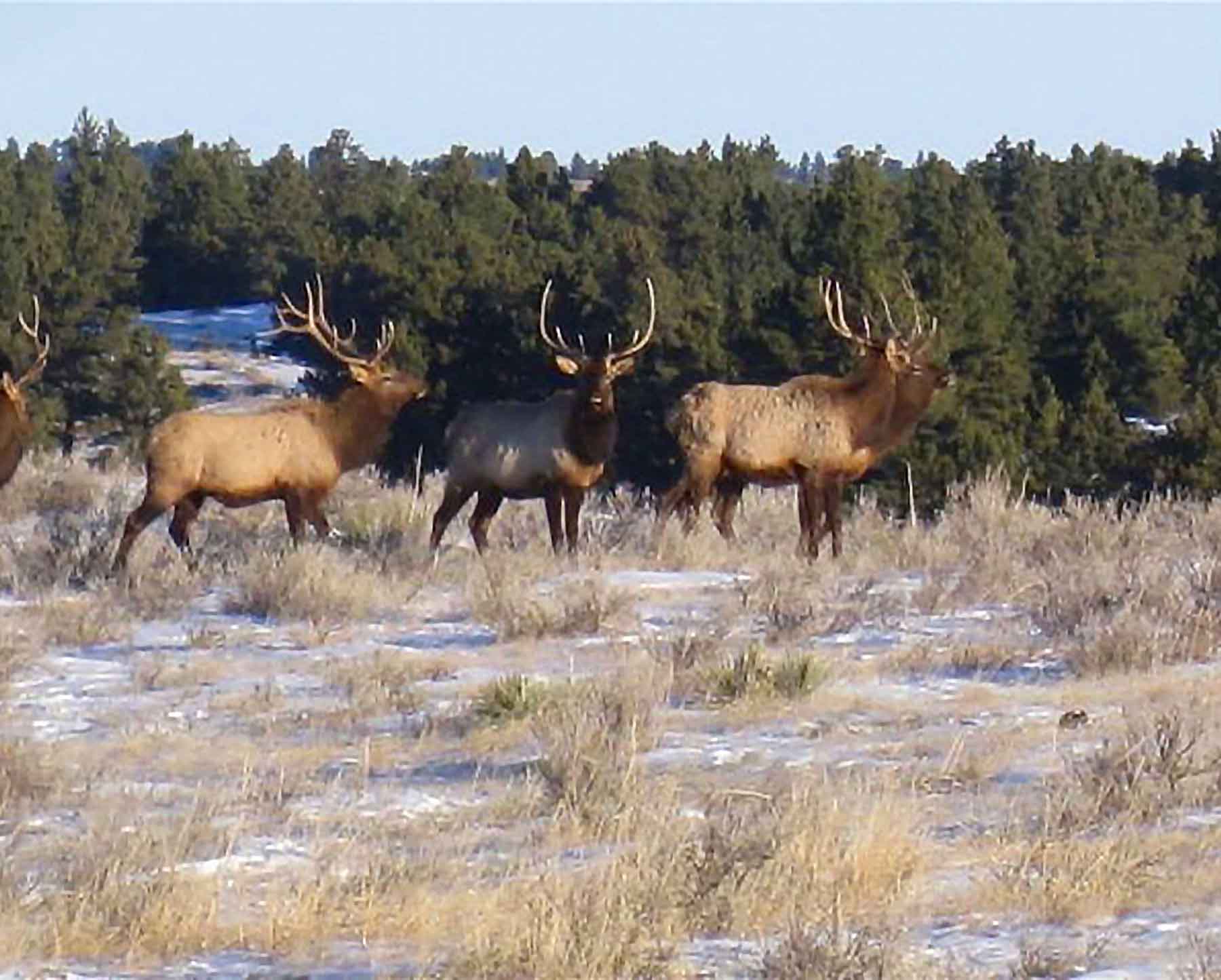 Engdahl Ranch property picture 19 of 26