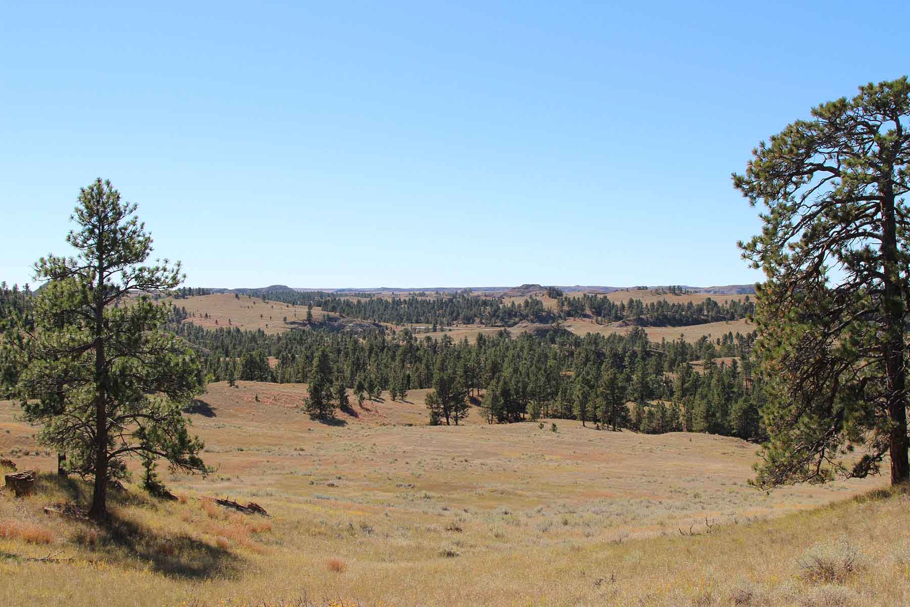 Engdahl Ranch property picture 25 of 26