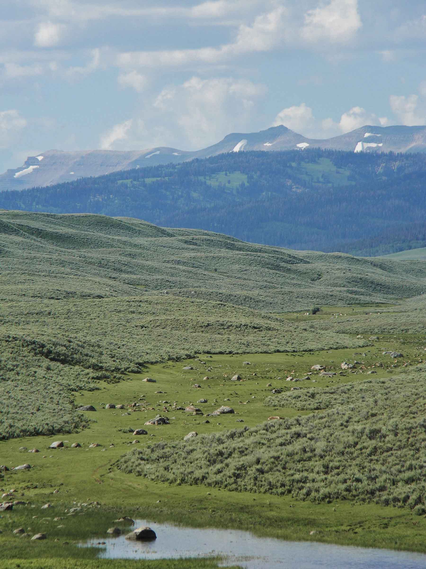 Beaver Creek Ranch property picture 27 of 68