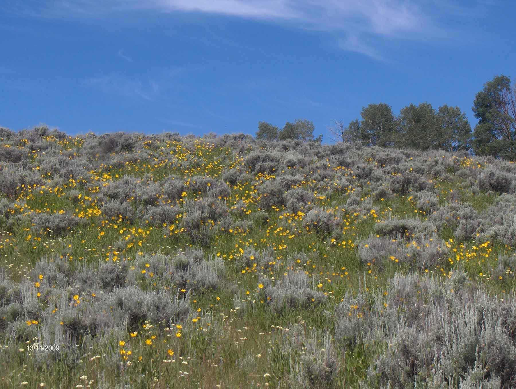 Beaver Creek Ranch property picture 17 of 68