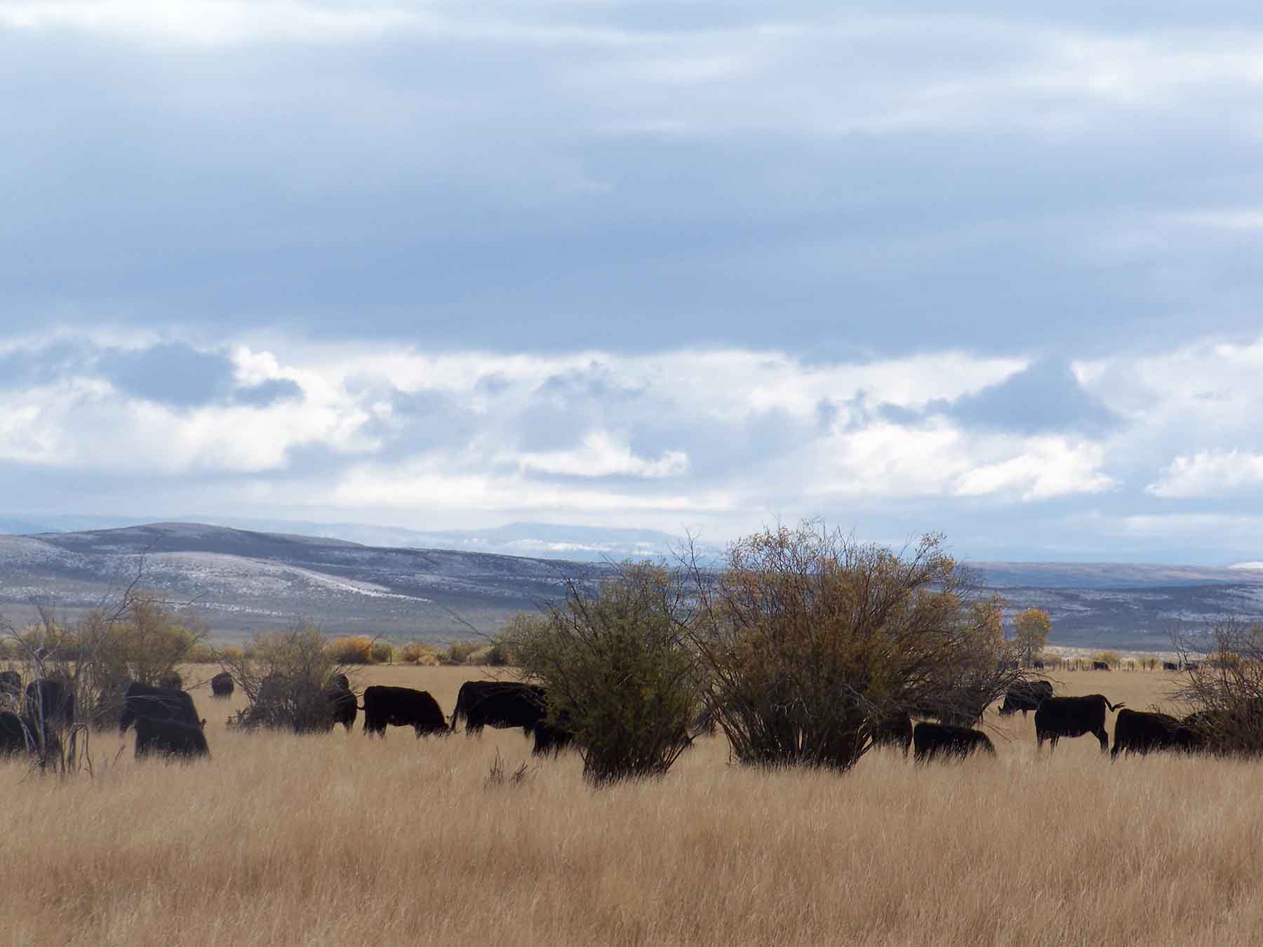 Beaver Creek Ranch property picture 44 of 68