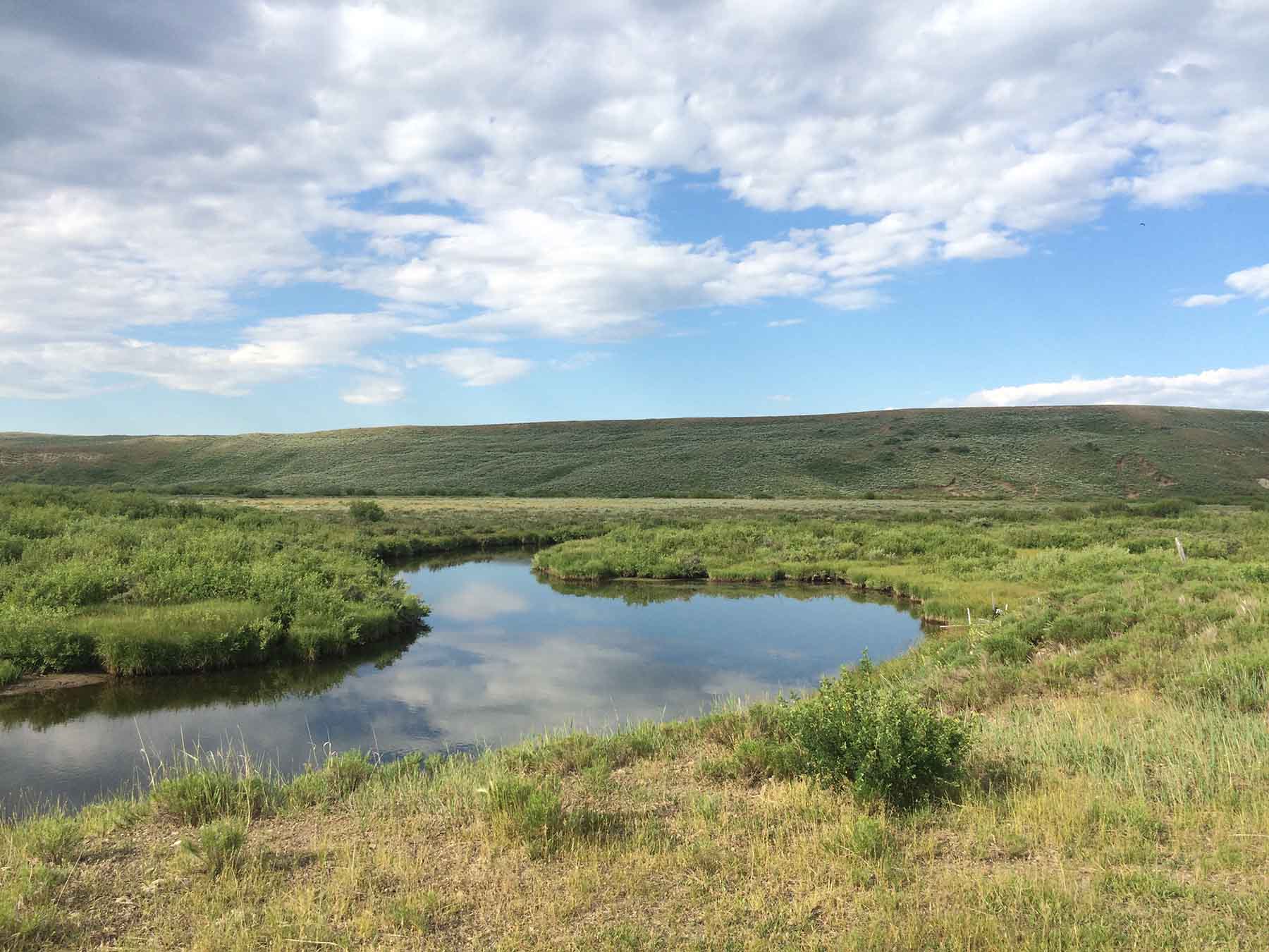 Beaver Creek Ranch property picture 40 of 68